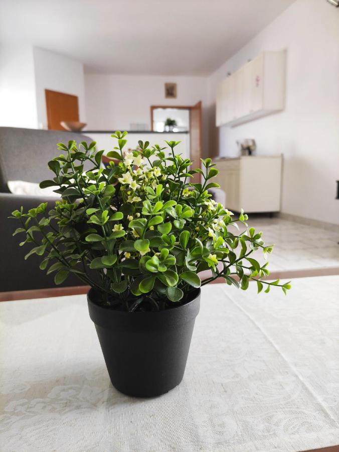 Varnica Guest house Kastel Luksic